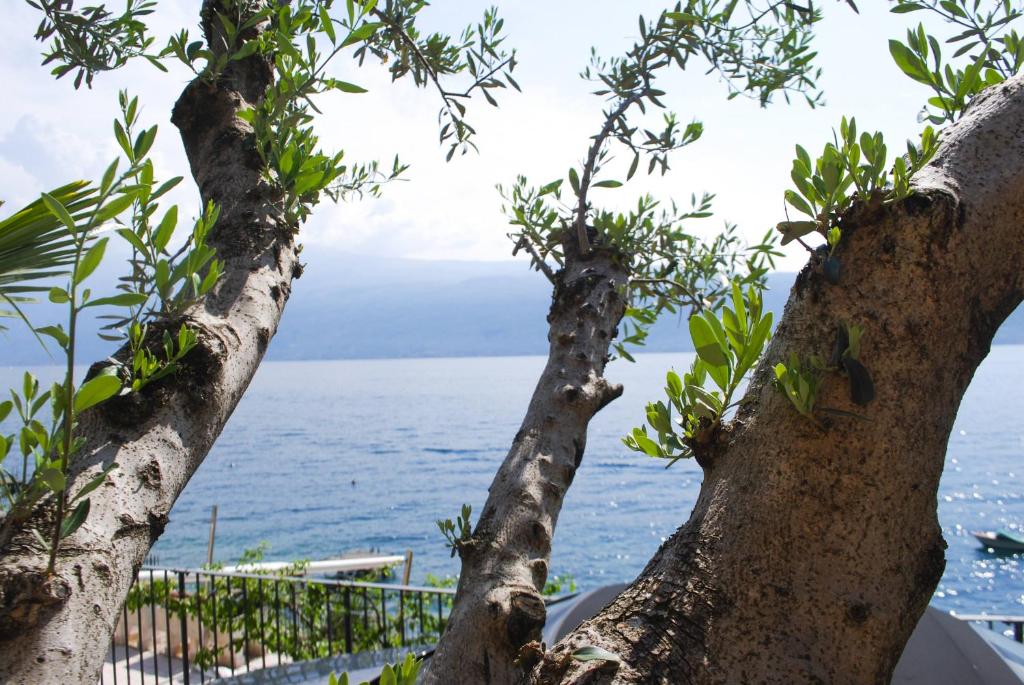 Villa I Cipressi - Rebomaholidays photo 2