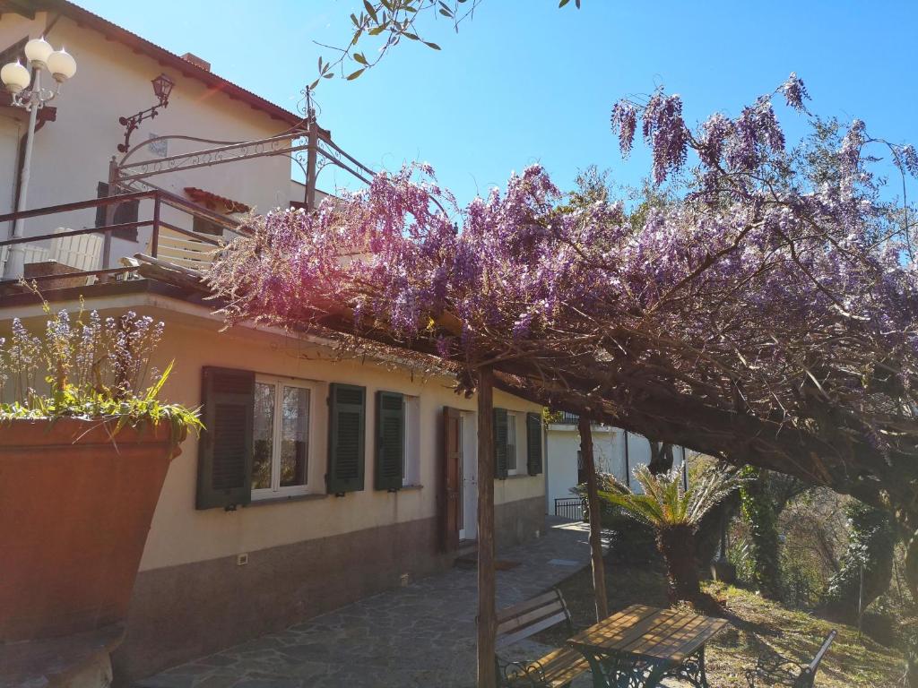 La Vivagna - Casa vista mare tra gli ulivi photo 1