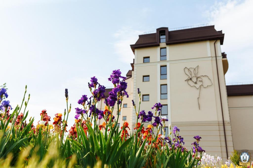 Apartament Hotel by Derenivska Kupil photo 3