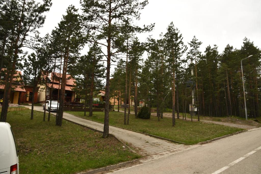 Vikendica Maksimović - Tara - Primamo vaučere photo 3