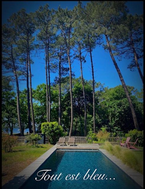 La Maison Moutchic photo 4