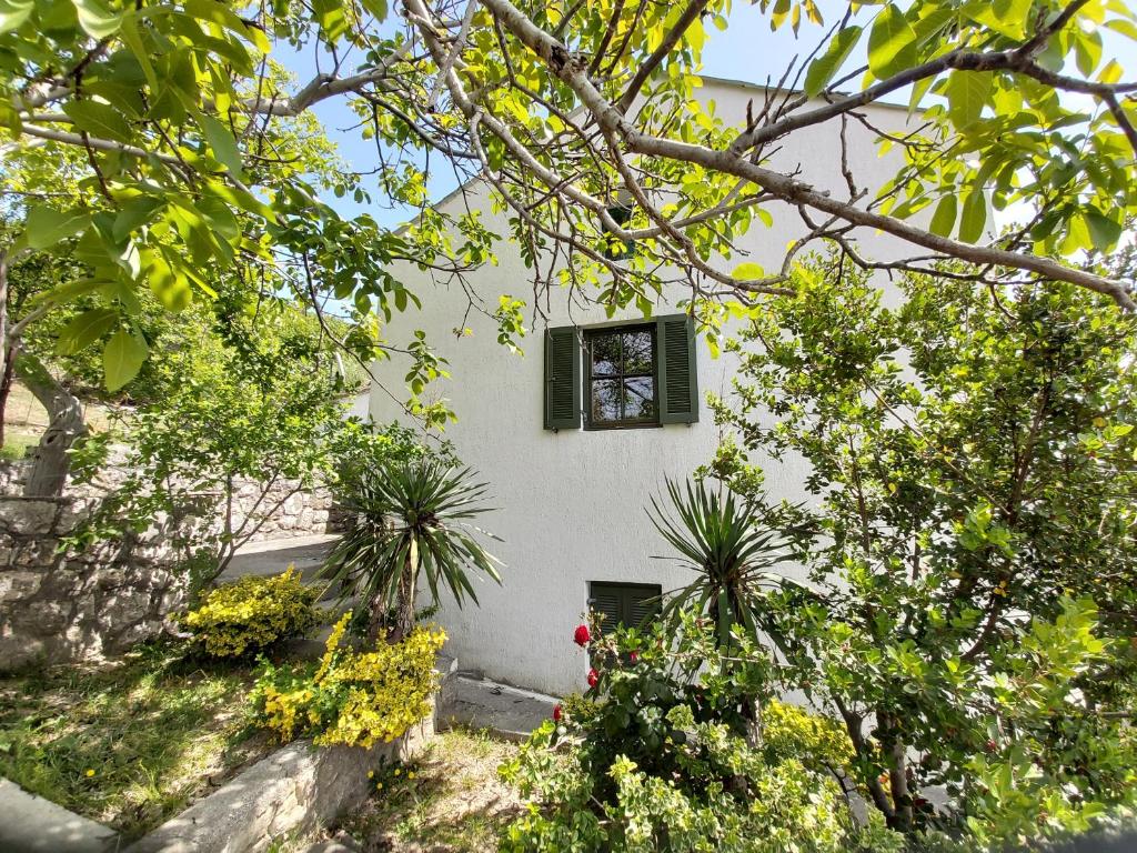 Country house Viskic photo 1