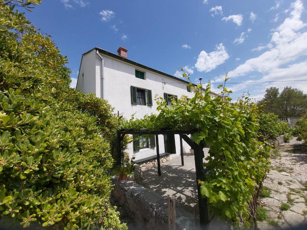 Country house Viskic photo 2