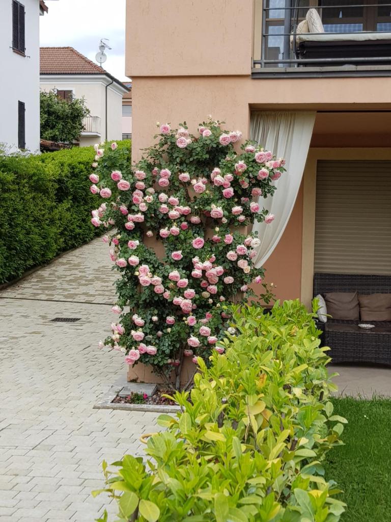 Casa di Sissy - Zona Villa Igea CIR 00600100001 photo 2