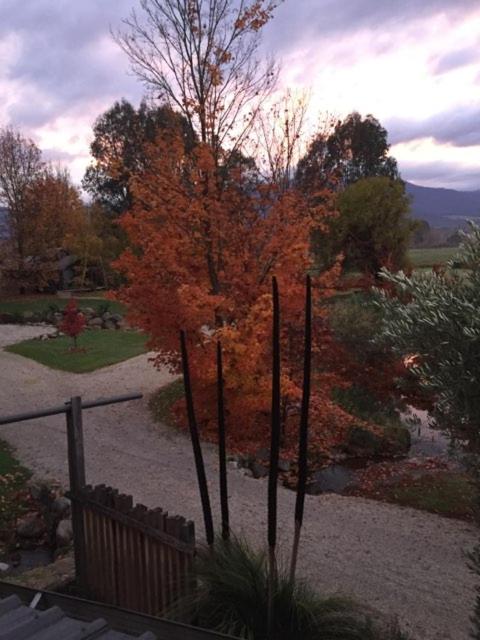 Eco Villa Mt. Beauty-Near Falls Creek & Bright photo 4