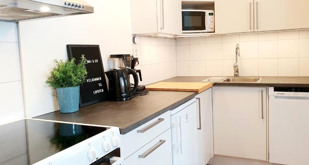 Lofoten Home Apartment photo 3