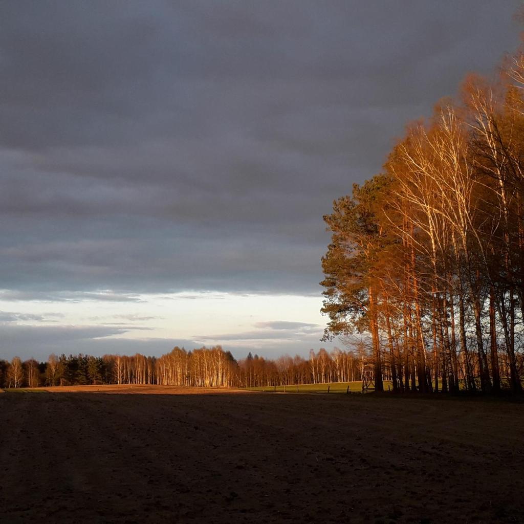 Agroturystyka Szafarnia 19 photo 4