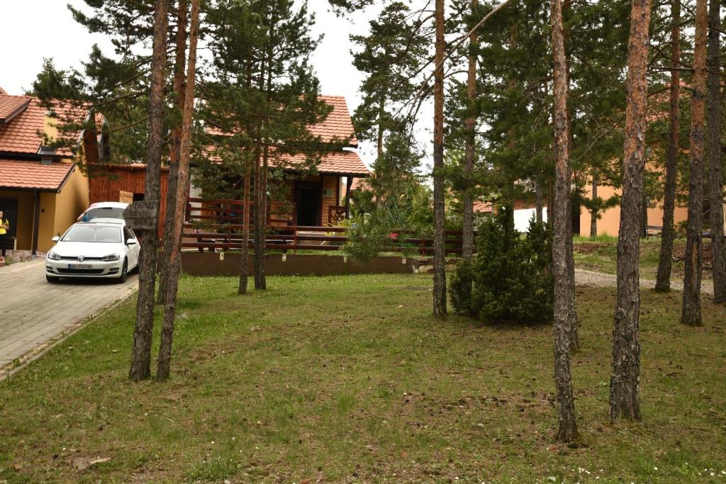 Vikendica Maksimović - Tara - Primamo vaučere photo 2