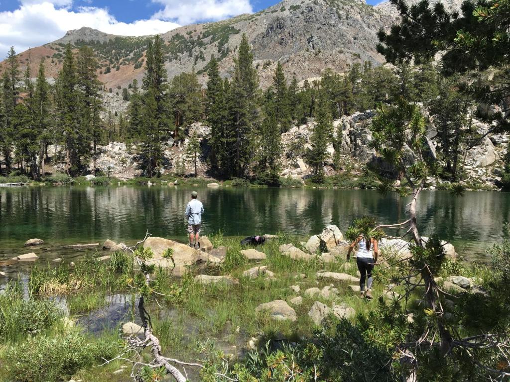 Mountainback #45, Den photo 2