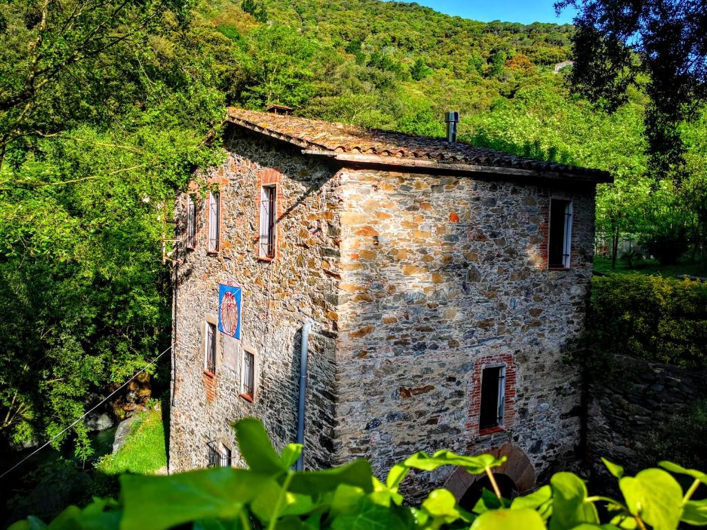 El moli del montseny photo 3