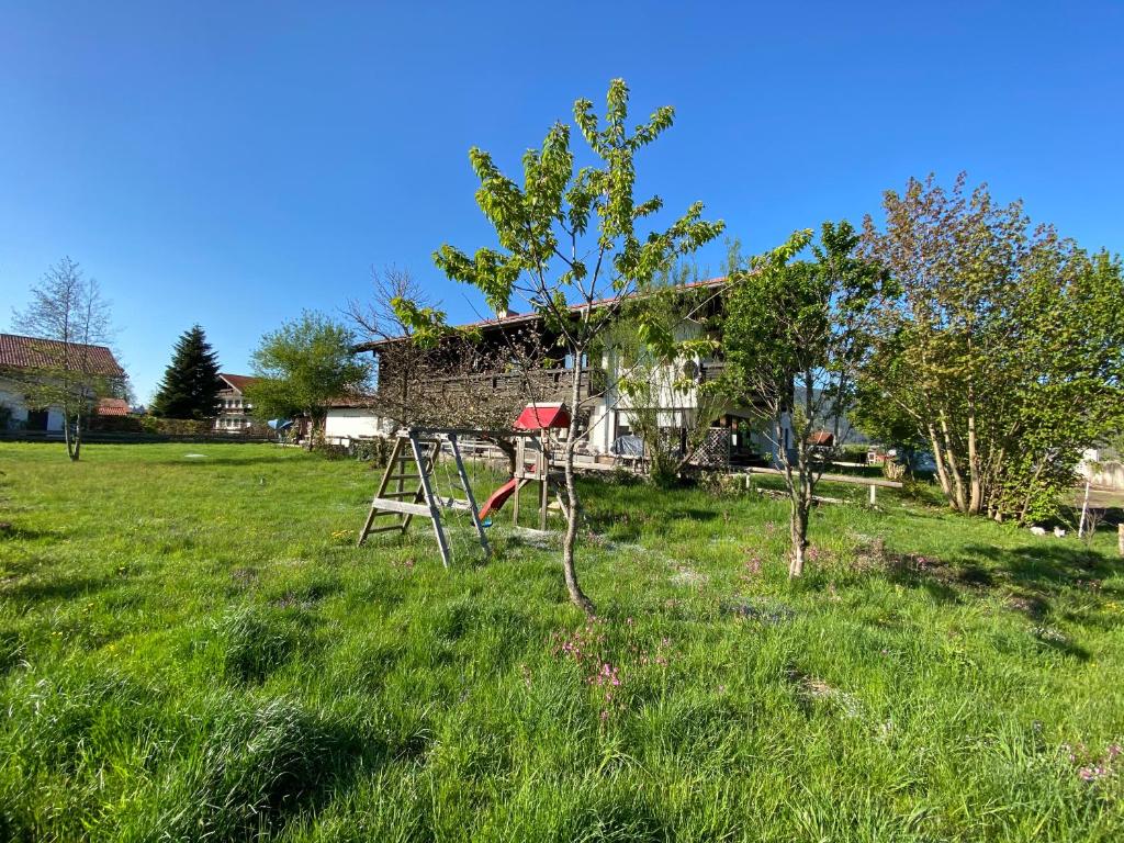 Alpinhotel INzeller photo 1