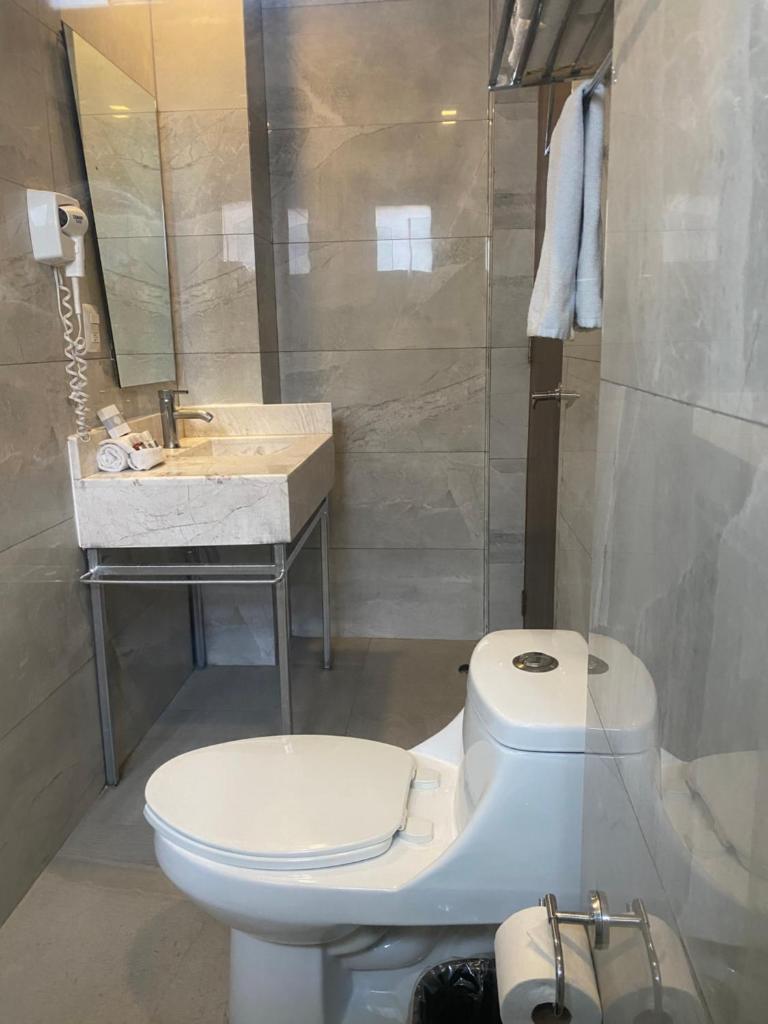 Сьюит (Суперлюкс с кроватью размера «queen-size»), Suites Lerma 205