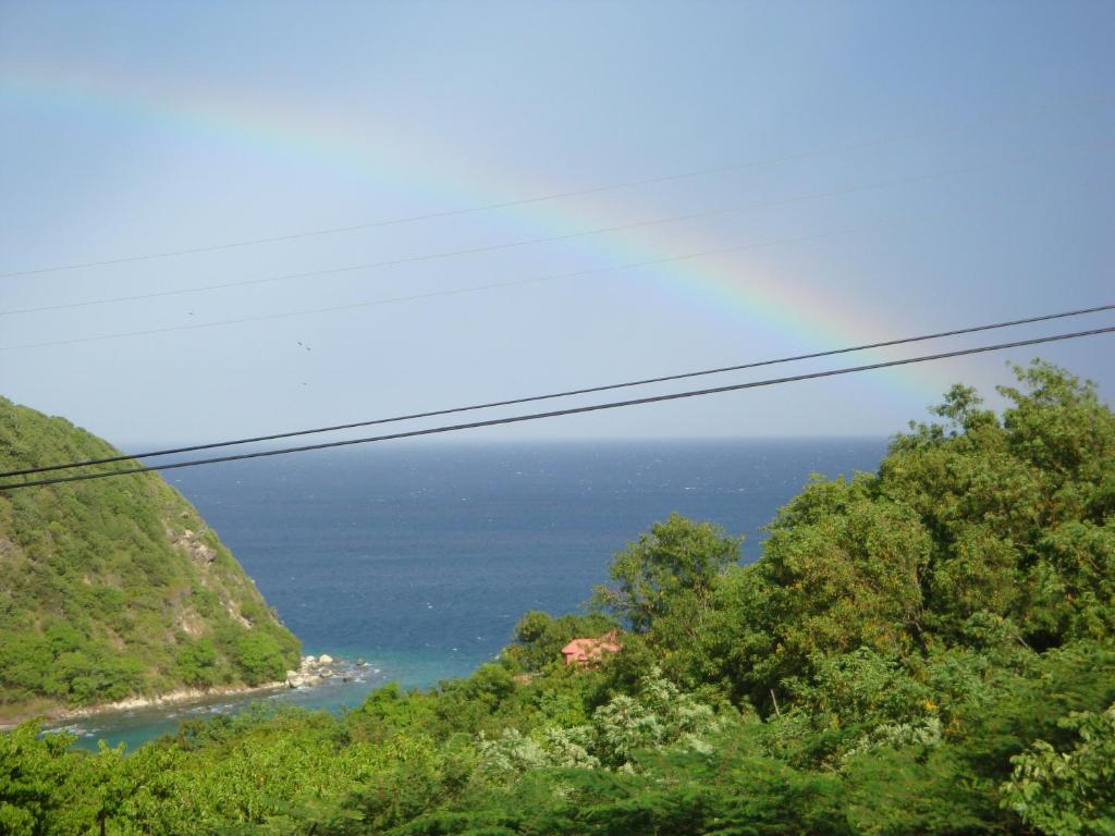 ESCALE CREOLE photo 3