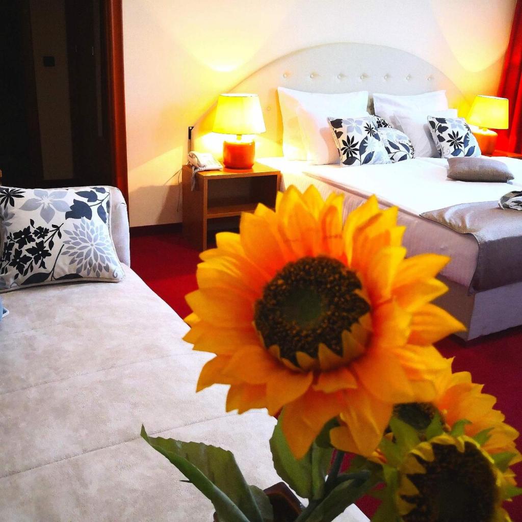 Апартаменты (Улучшенные апартаменты), Hotel N