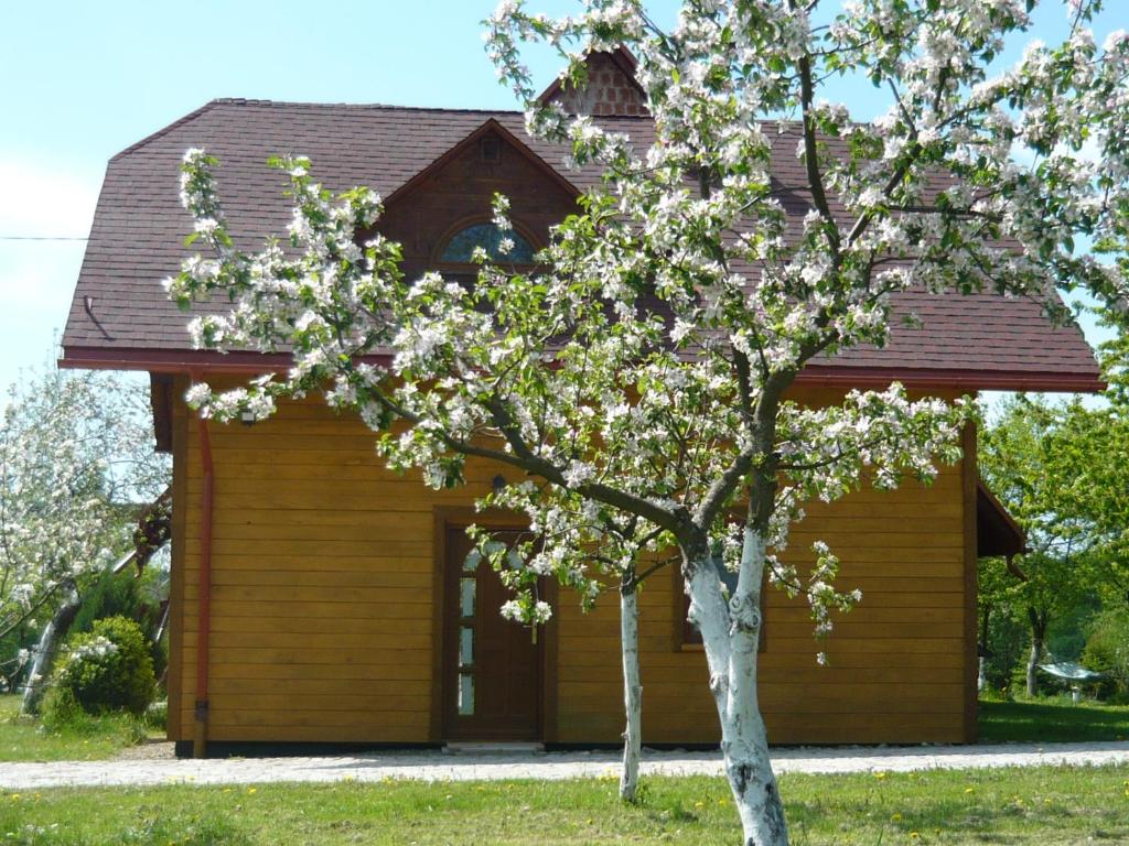 Wichrowe Wzgórze photo 1