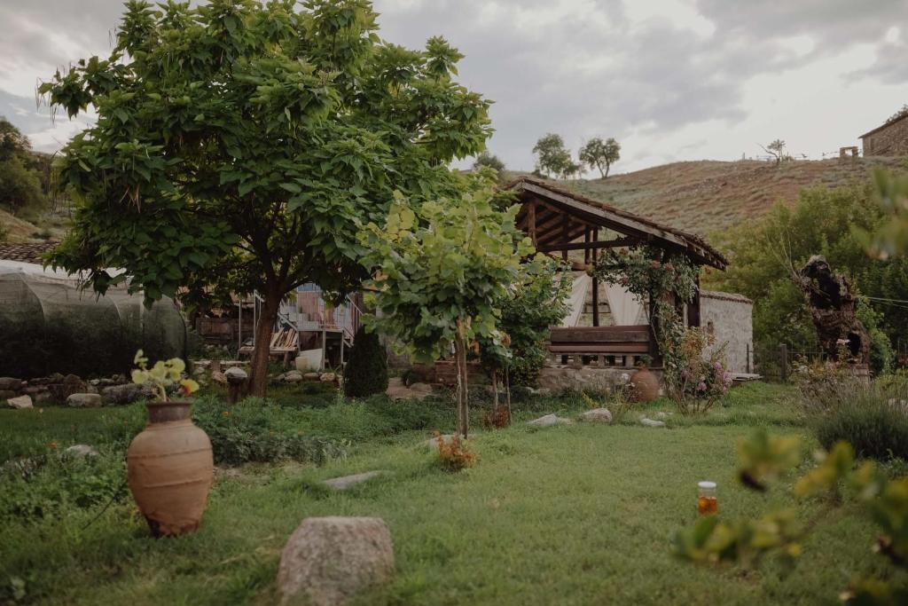Rancho i Vancho na Kata photo 1