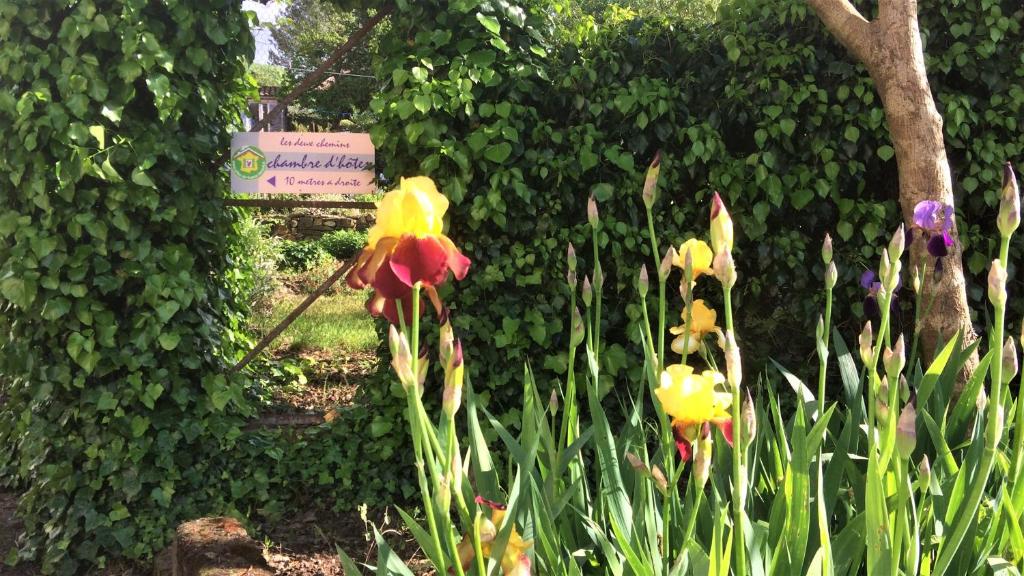 Les deux chemins photo 2