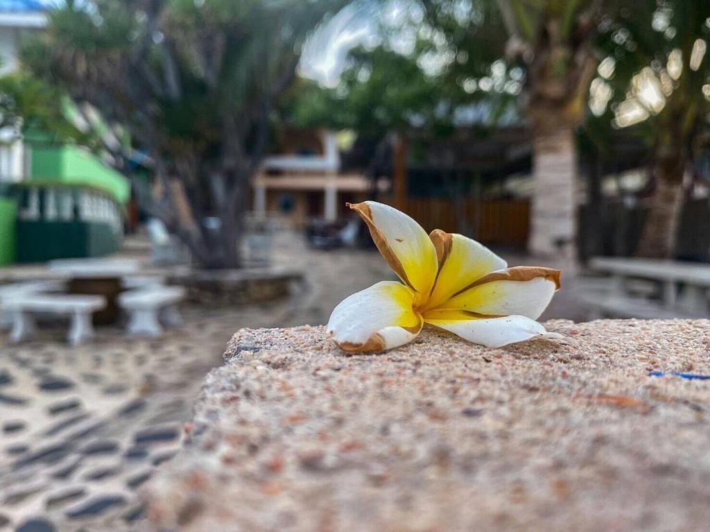 Rubtawan Sichang Resort photo 3
