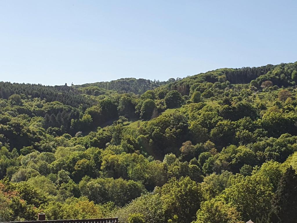 Die grüne Oase am RheinSteig 2 ZKBuWC photo 2