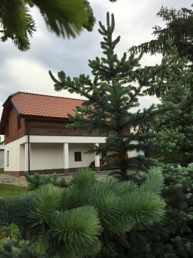 Pokoje Kasztanowa photo 3