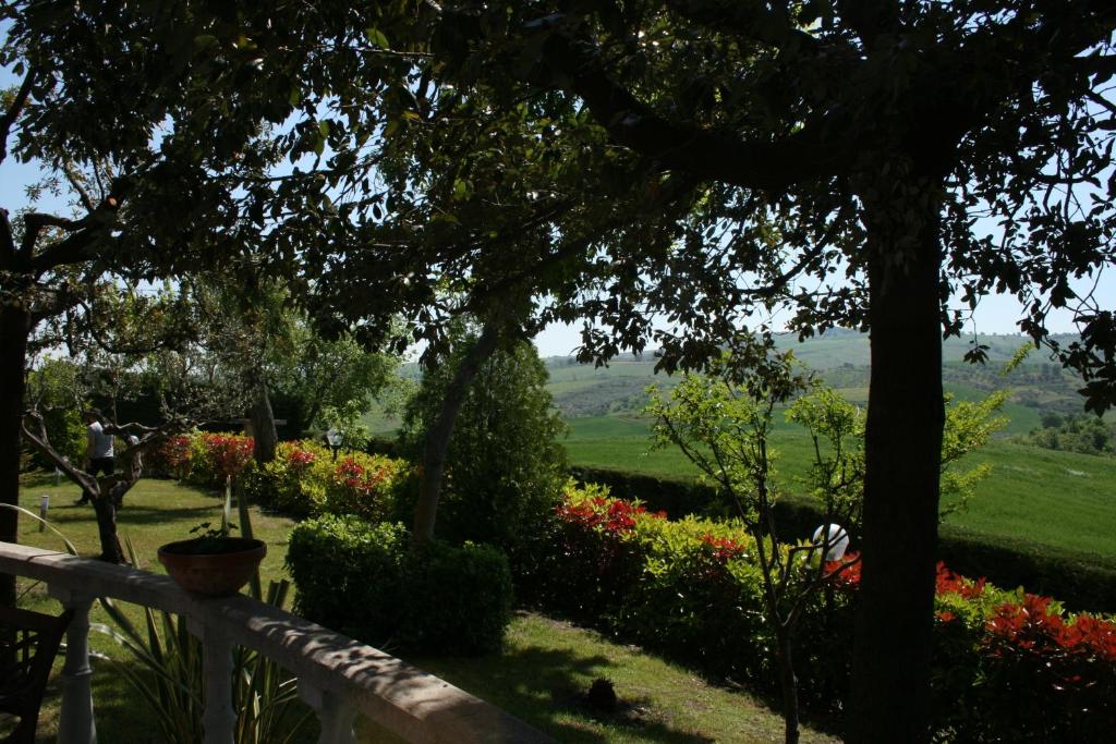 Al Settimo Cielo photo 3
