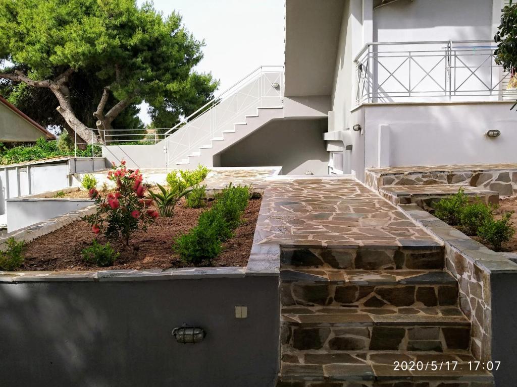 APARTMENTS:Alexandros -Sofia photo 4