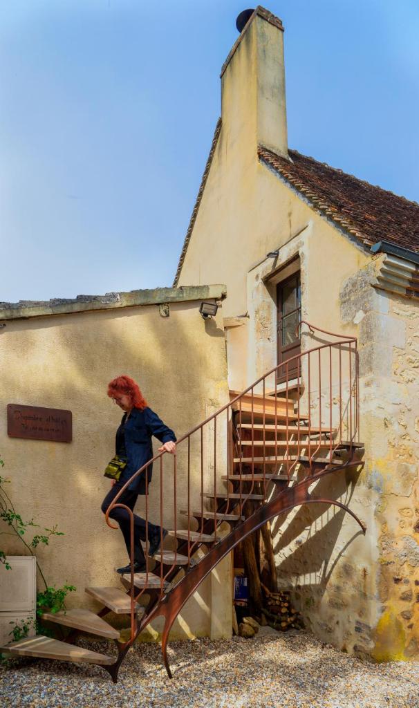 Chambre d'Hôtes chez Artiste Verrier, La Perrière - Perche photo 4