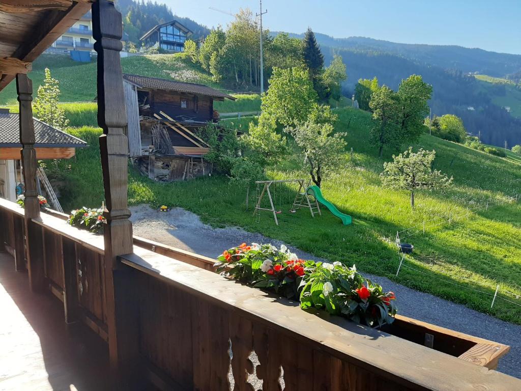 Nesterhof photo 4