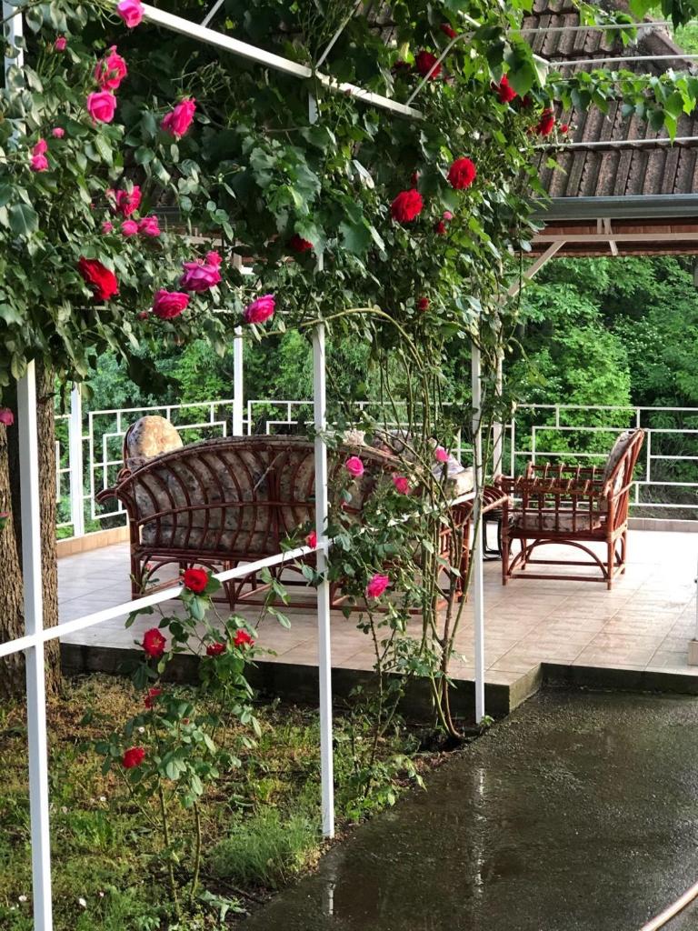 Villa Elita - Bela Crkva photo 1