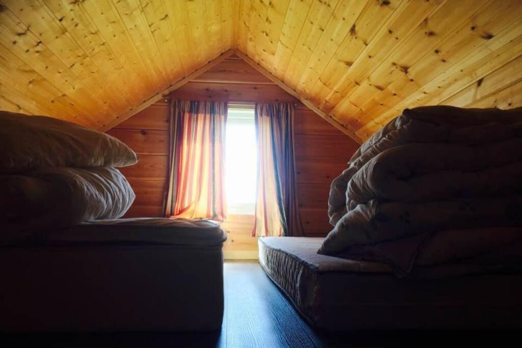 Arctic House by the sea, Vadsø, Varanger photo 3