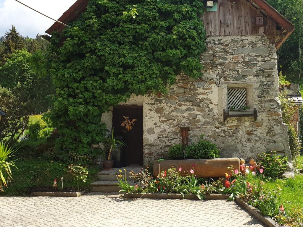 Mühlnerhof Familie Gruber photo 4