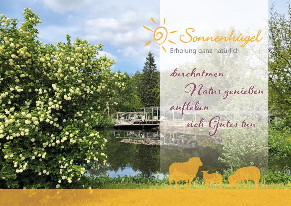Одноместный (Стандартный одноместный номер), Sonnenhügel Hotel & Ferienwohnungen