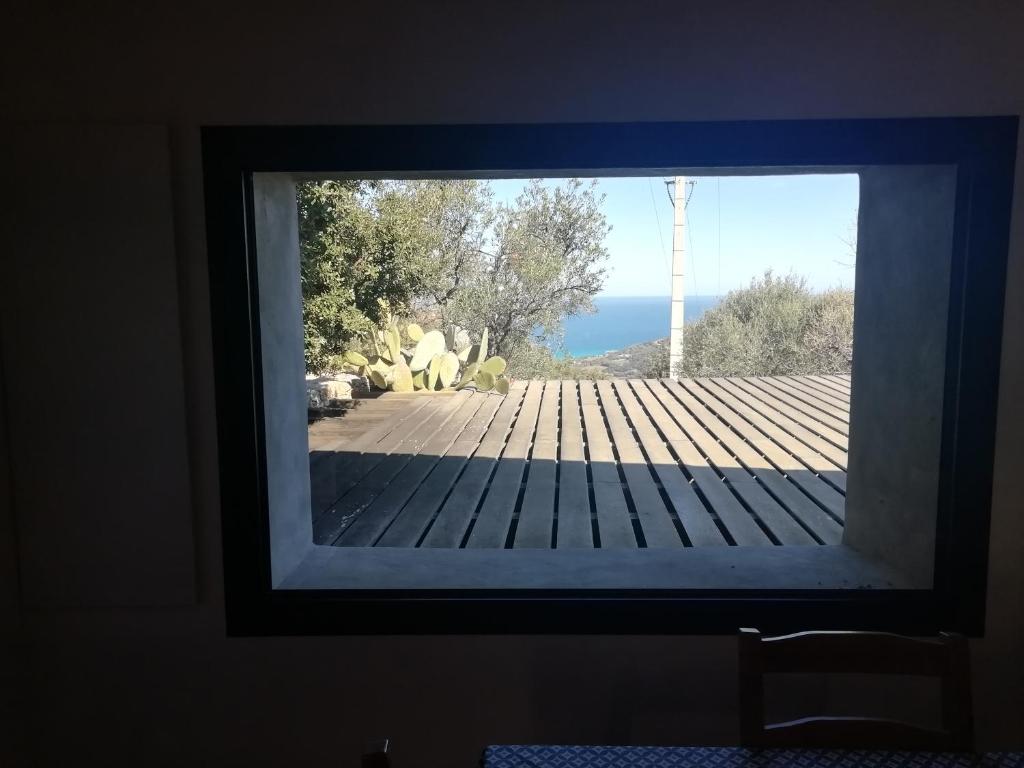 Clos Olivella photo 4