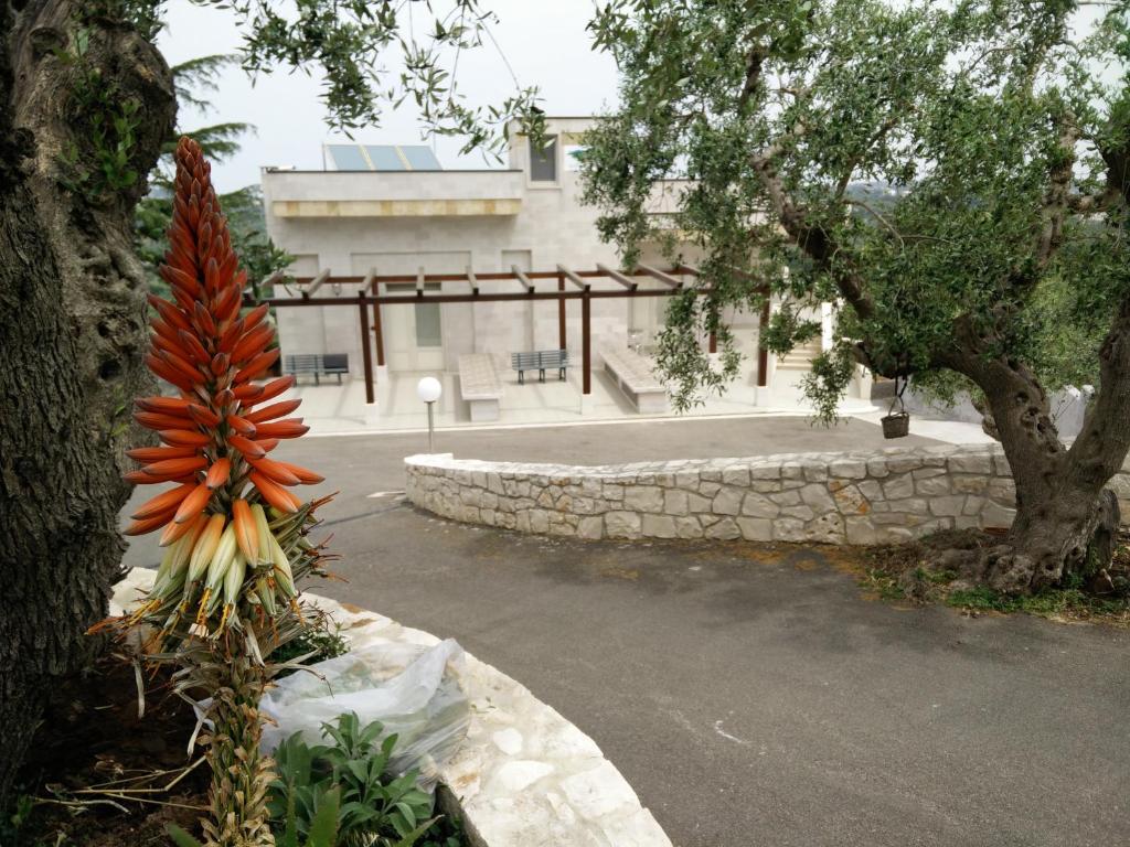 Bed & Breakfast La Collinetta photo 2