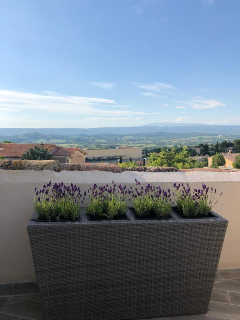 Provence Luberon Bonnieux location gite chez Marcelle photo 3