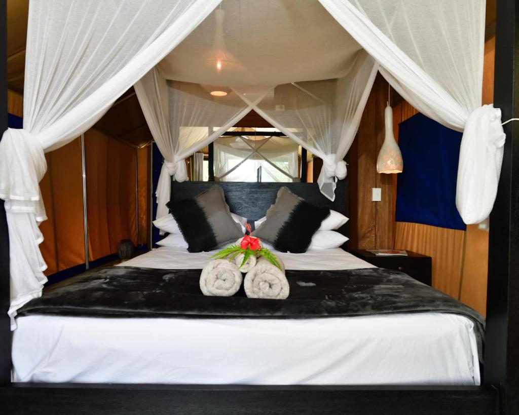 Turtle Bay Lodge photo 2