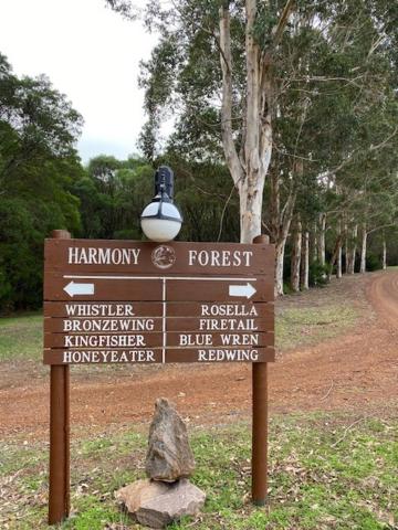 Harmony Forest Cottages & Lake side Lodge - Tap to explore photos