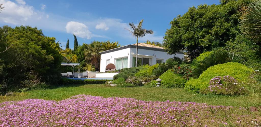 Villa Amadeus Xabia photo 2