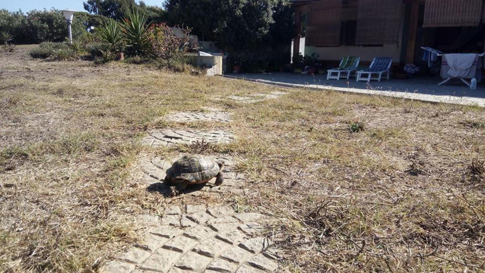 Affittacamere Casa Maica photo 2