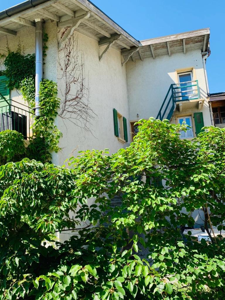 schone wohnung in sierre photo 3