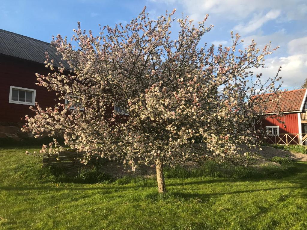 Vimmerby Lilla utsikten photo 1