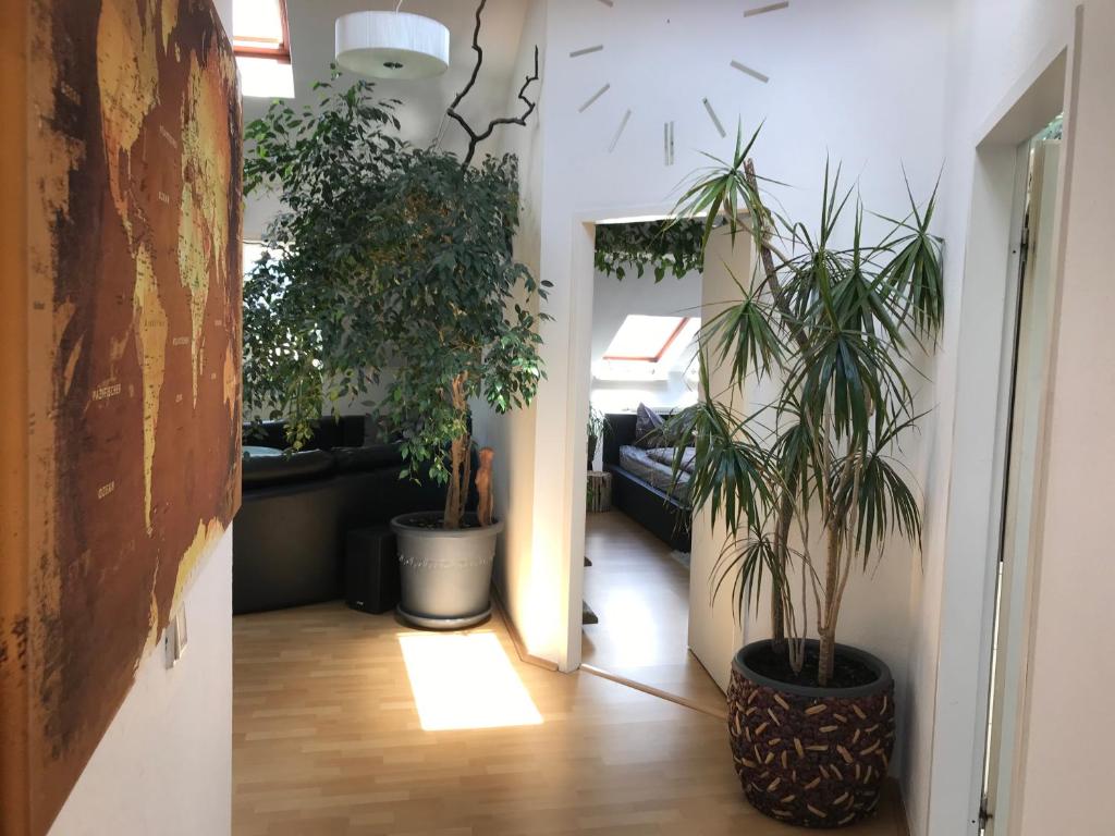 Stadtdschungel FeWo mit Balkon photo 2