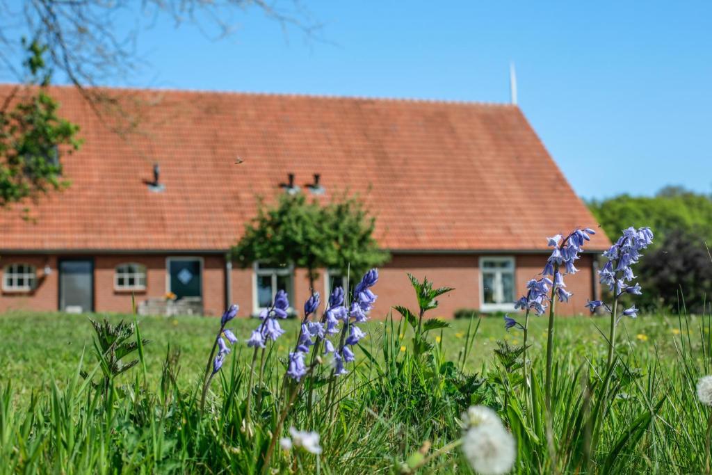 Twentekiek photo 1