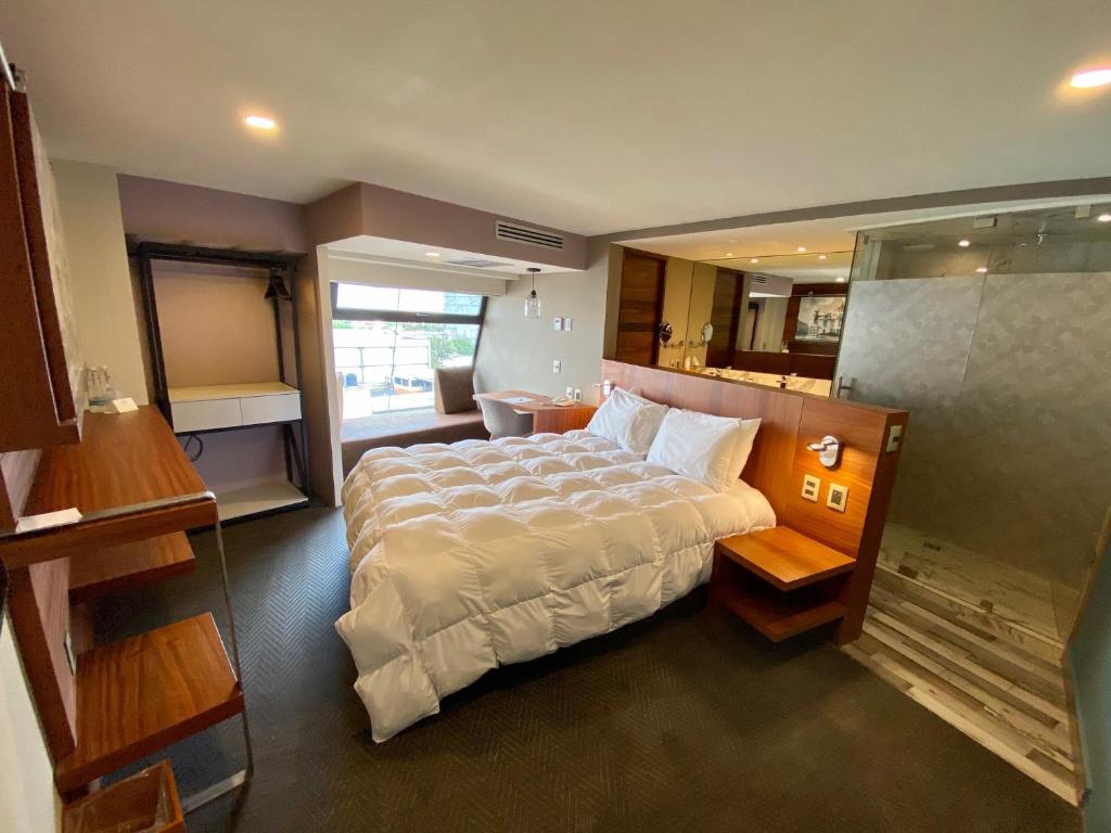 Двухместный (Стандартный двухместный номер с 1 кроватью), Hotel Zona Rosa
