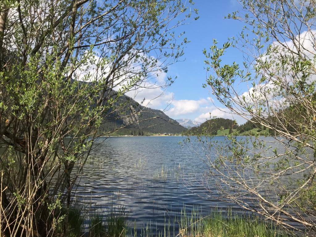 Das Haldensee photo 2
