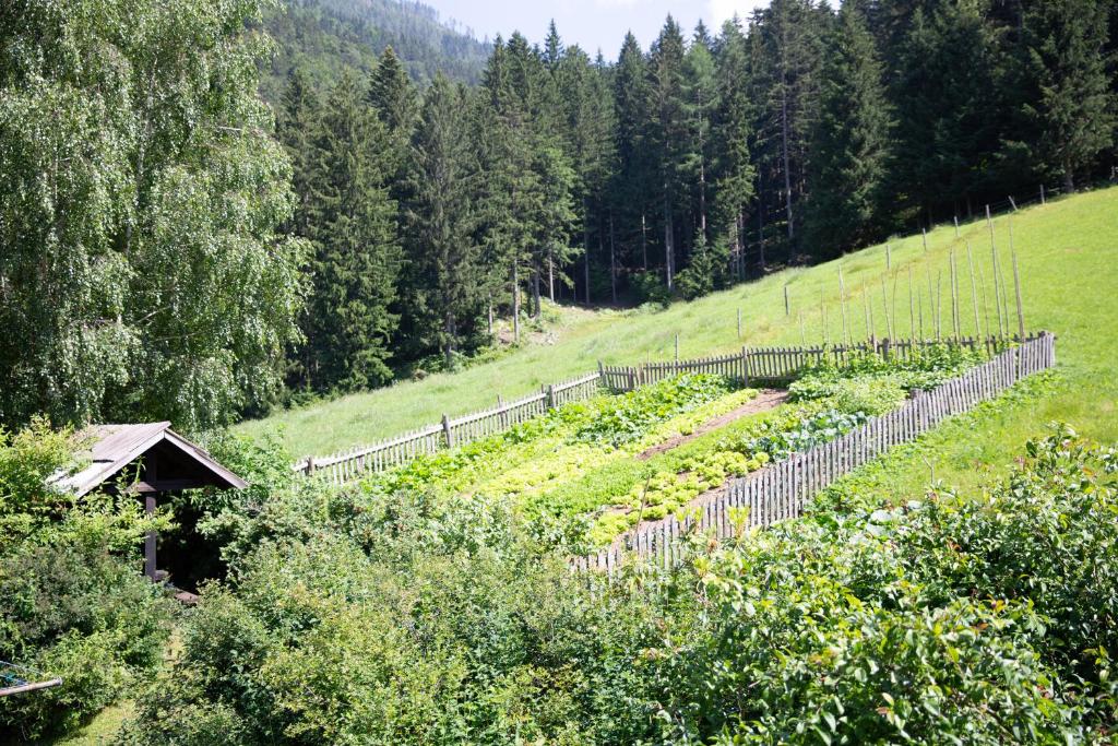 Turistična Kmetija Zgornji Zavratnik photo 4