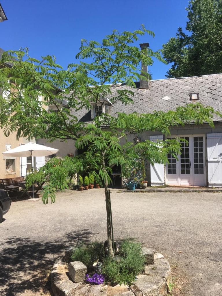 Maison Lyre, Pompadour photo 1