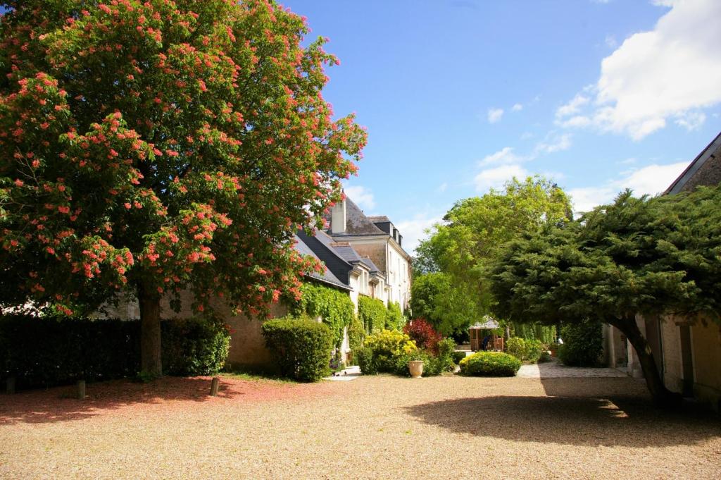 Moulin De Bacchus - Châteaux de la Loire photo 4