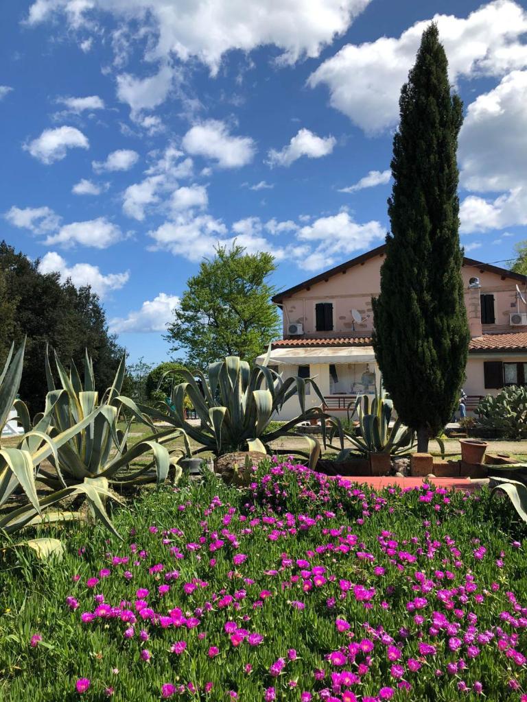 Armonia della Sera B&B - Residenza di campagna photo 4