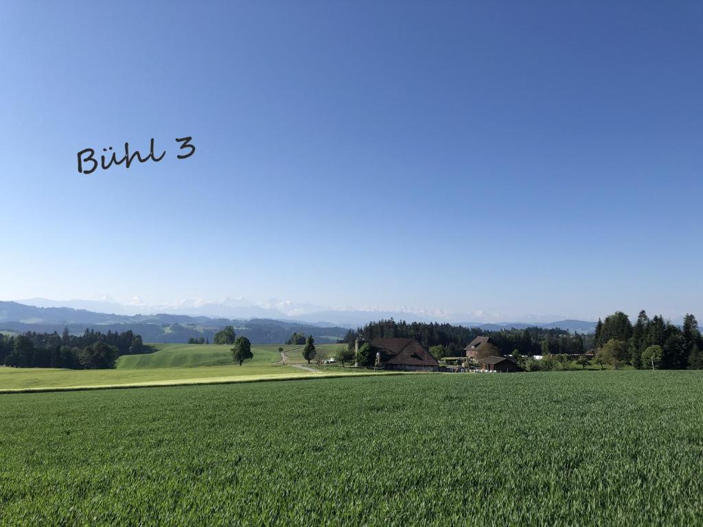 Bühl 3